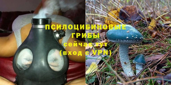 сатива Арсеньев