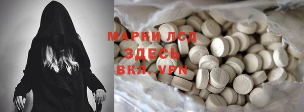 индика Алексеевка