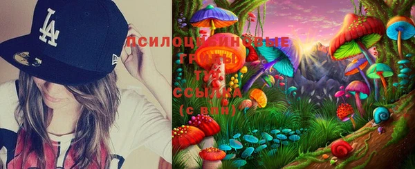 PSILOCYBIN Алексин
