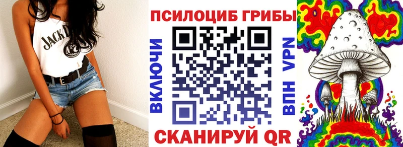 сайты даркнета клад  Новомосковск  Галлюциногенные грибы Cubensis 
