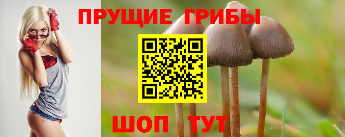 Галлюциногенные грибы Magic Shrooms  Псилоцибиновые грибы Psilocybine cubensis  Новомосковск  Вход с VPN 
